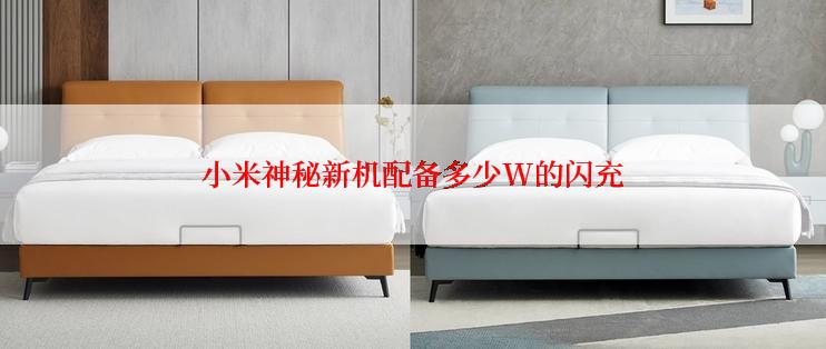 小米神秘新机配备多少W的闪充