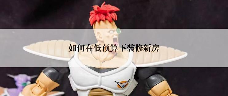 如何在低预算下装修新房