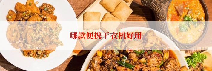 哪款便携干衣机好用