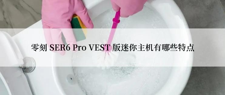 零刻 SER6 Pro VEST 版迷你主机有哪些特点