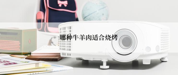 哪种牛羊肉适合烧烤