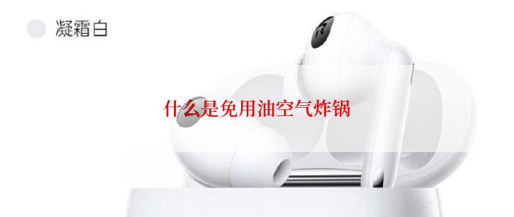什么是免用油空气炸锅