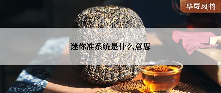 迷你准系统是什么意思