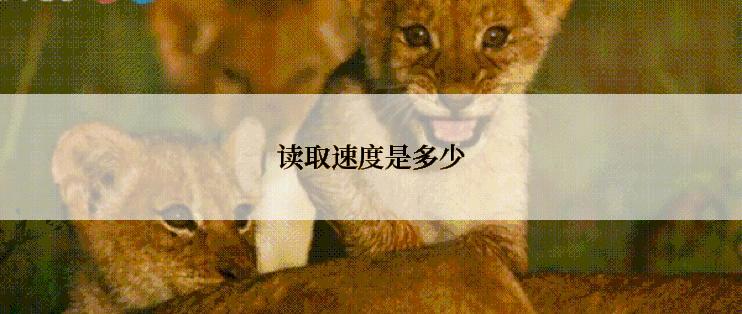 读取速度是多少