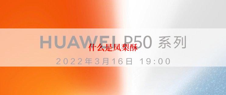 什么是凤梨酥