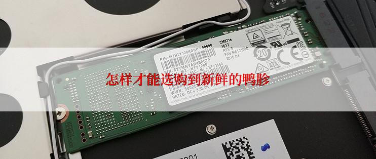 怎样才能选购到新鲜的鸭胗