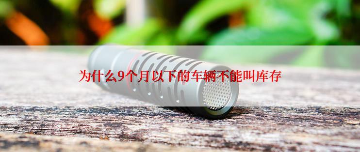 为什么9个月以下的车辆不能叫库存