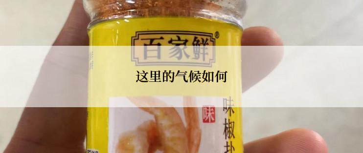 这里的气候如何