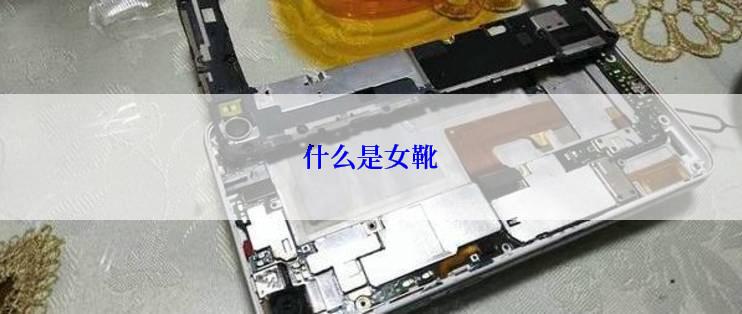 什么是女靴