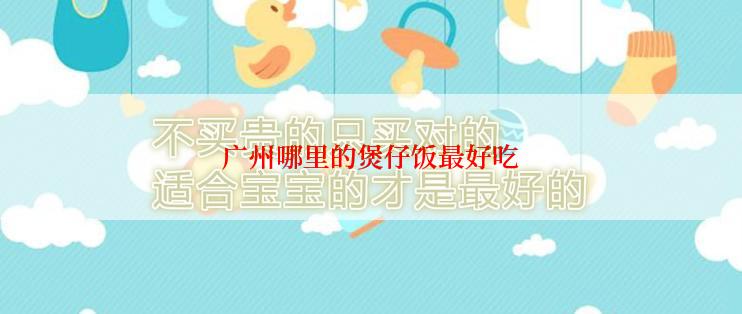 广州哪里的煲仔饭最好吃