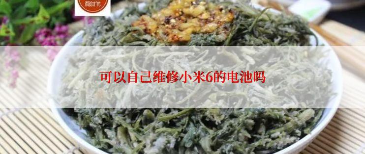 可以自己维修小米6的电池吗