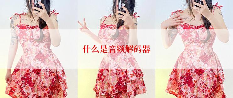 什么是音频解码器