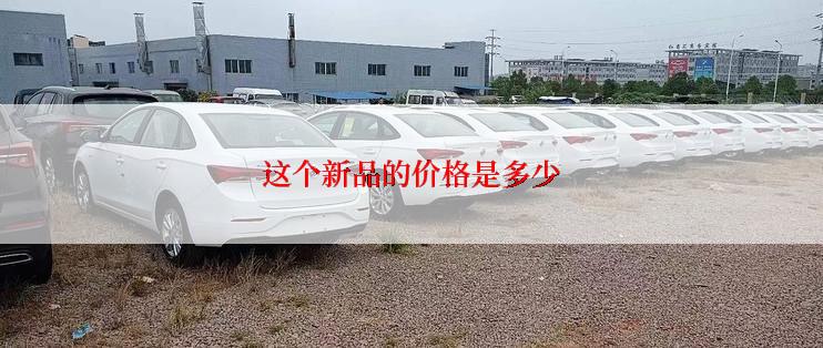 这个新品的价格是多少
