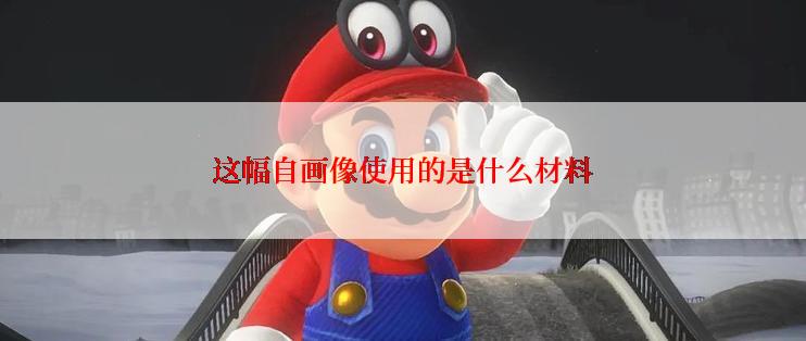 这幅自画像使用的是什么材料