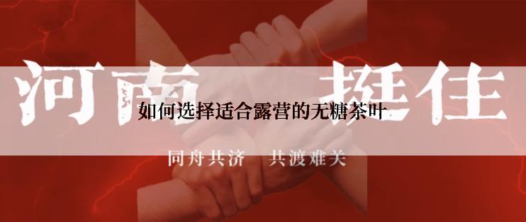 如何选择适合露营的无糖茶叶