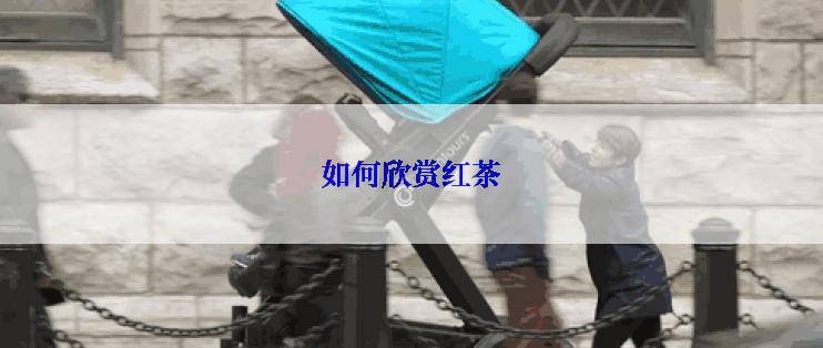 如何欣赏红茶