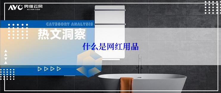 什么是网红用品