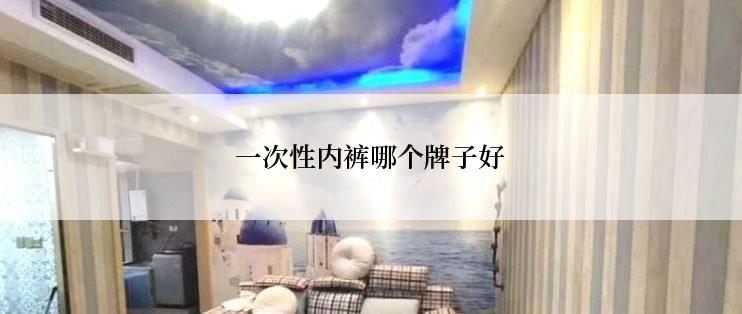 一次性内裤哪个牌子好