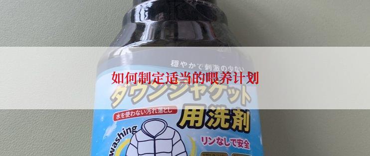 如何制定适当的喂养计划