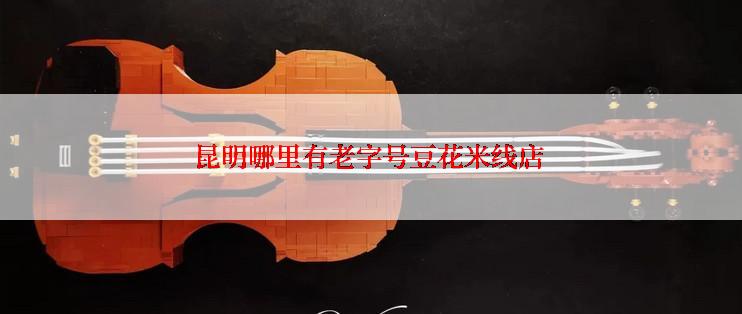 昆明哪里有老字号豆花米线店