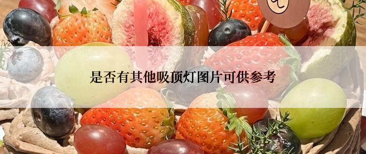 是否有其他吸顶灯图片可供参考