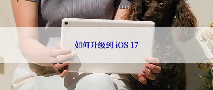 如何升级到 iOS 17