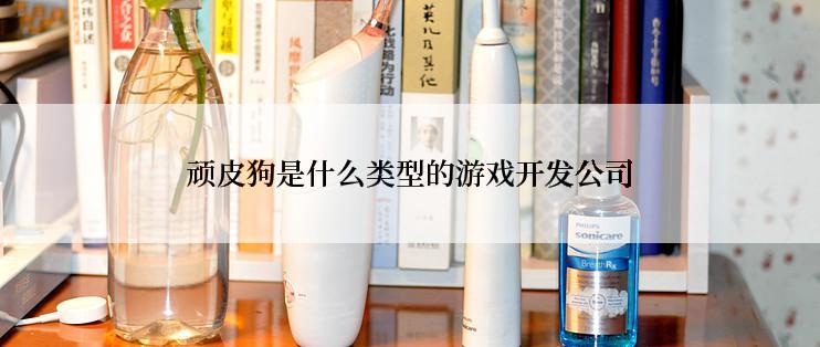 顽皮狗是什么类型的游戏开发公司