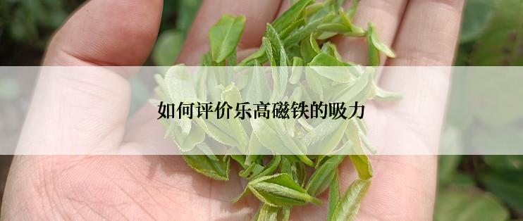 如何评价乐高磁铁的吸力