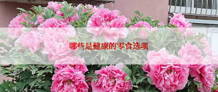 哪些是健康的零食选项