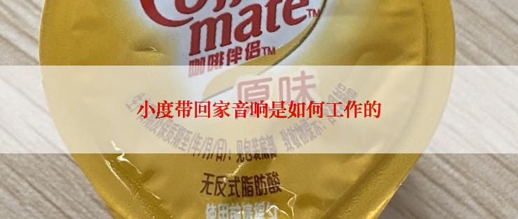 小度带回家音响是如何工作的