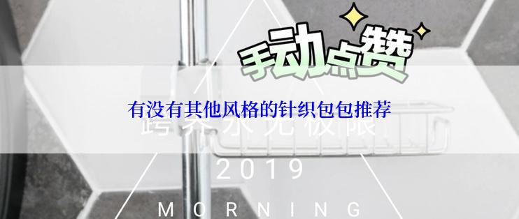 有没有其他风格的针织包包推荐