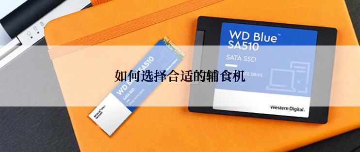 如何选择合适的辅食机