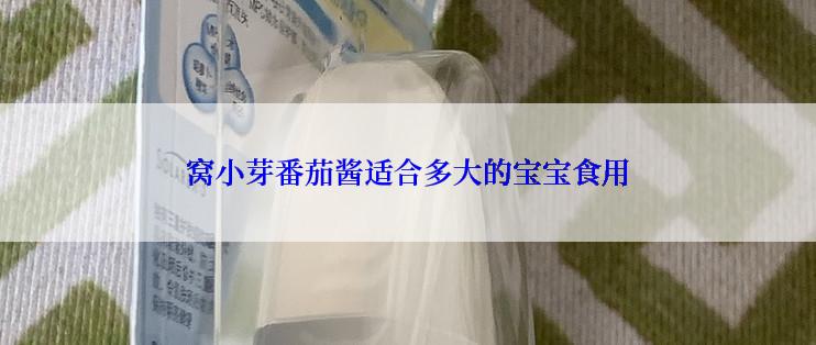 窝小芽番茄酱适合多大的宝宝食用