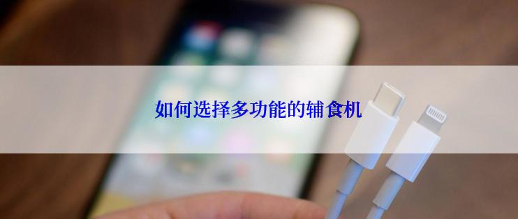 如何选择多功能的辅食机