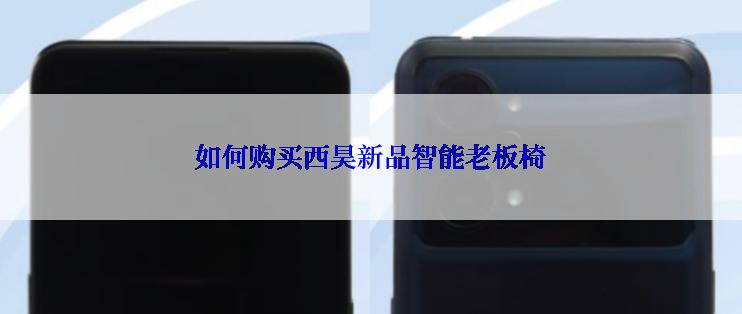 如何购买西昊新品智能老板椅