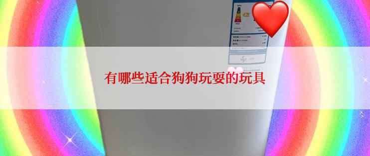 有哪些适合狗狗玩耍的玩具
