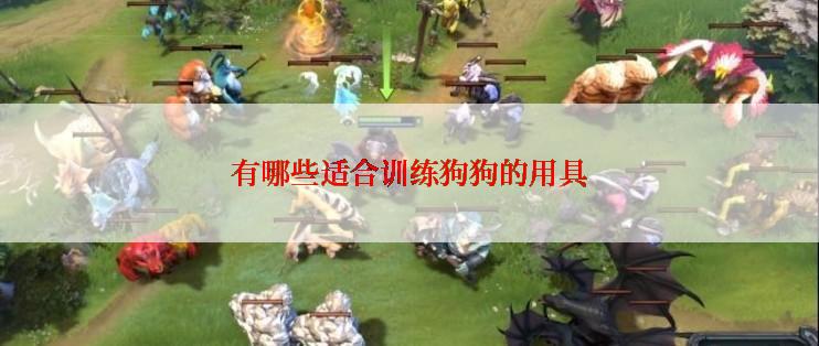 有哪些适合训练狗狗的用具