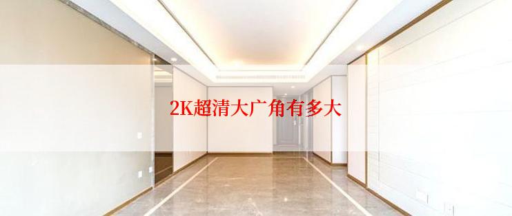 2K超清大广角有多大