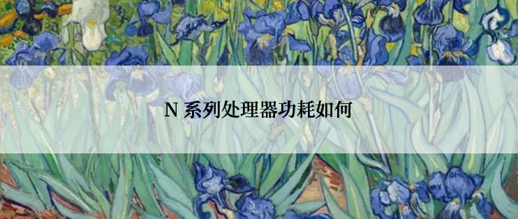 N 系列处理器功耗如何