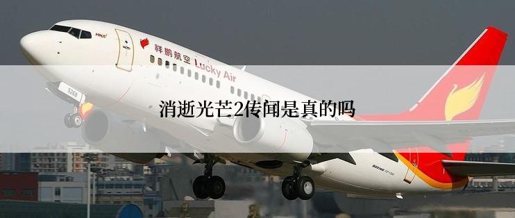 消逝光芒2传闻是真的吗