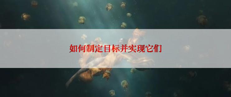 如何制定目标并实现它们