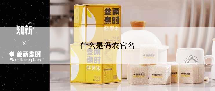 什么是码农官名