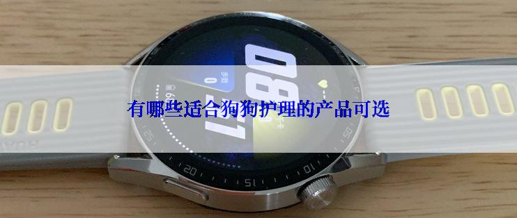 有哪些适合狗狗护理的产品可选