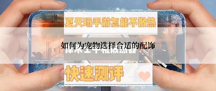 如何为宠物选择合适的配饰