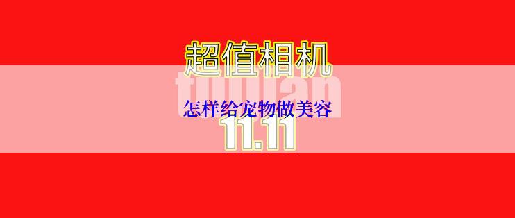 怎样给宠物做美容