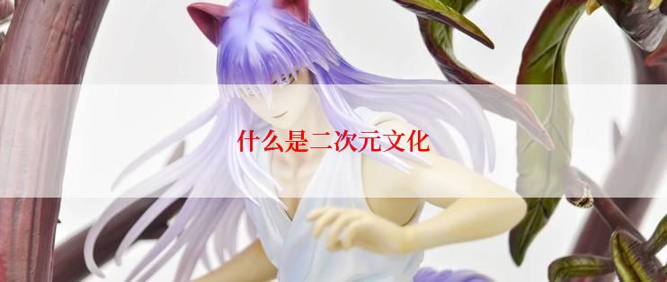 什么是二次元文化