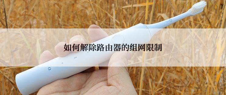 如何解除路由器的组网限制