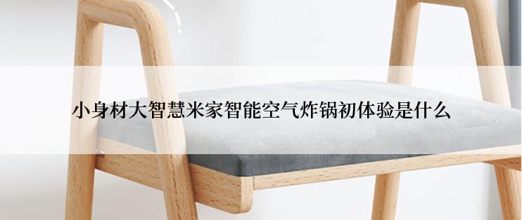 小身材大智慧米家智能空气炸锅初体验是什么