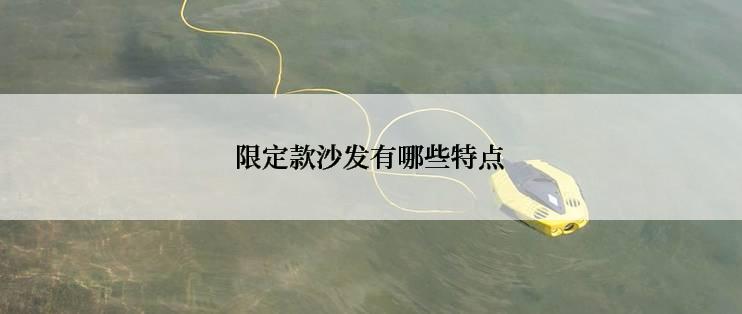 限定款沙发有哪些特点