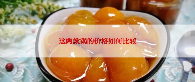 这两款锅的价格如何比较